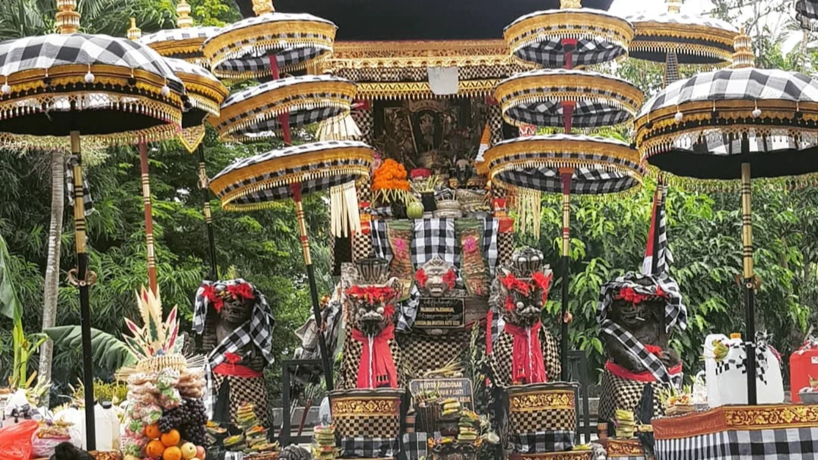 Tirta Yatra Nusa Penida 1 Hari PP